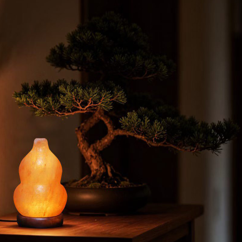 Detail Himalayan Salt Lamp (3).jpg