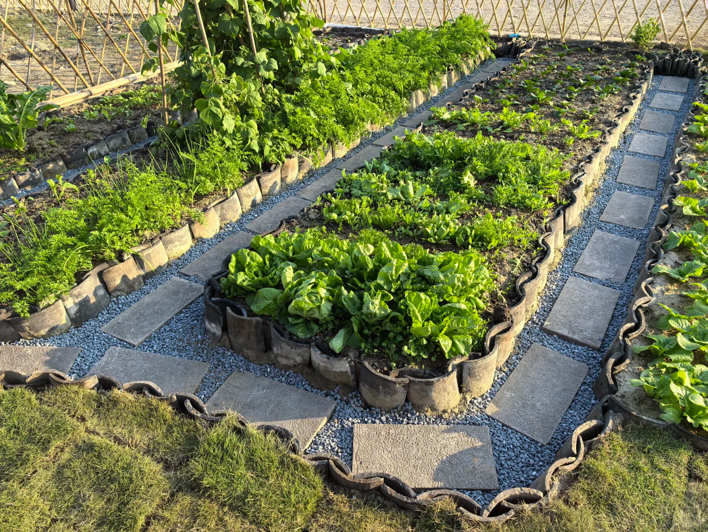 Plan de renovación del huerto casero: la combinación perfecta de vermiculita para plántulas y grava para los caminos del huerto
