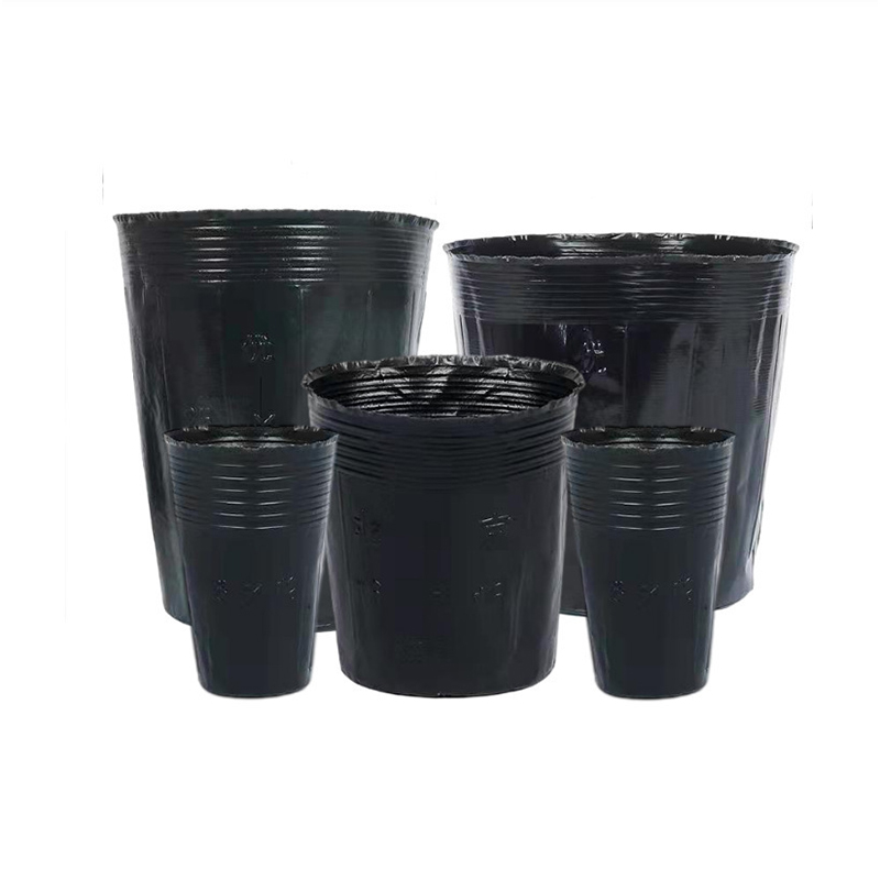 Multi-Size Breathable Black Nursery Pot Germination Container for Nursery Use