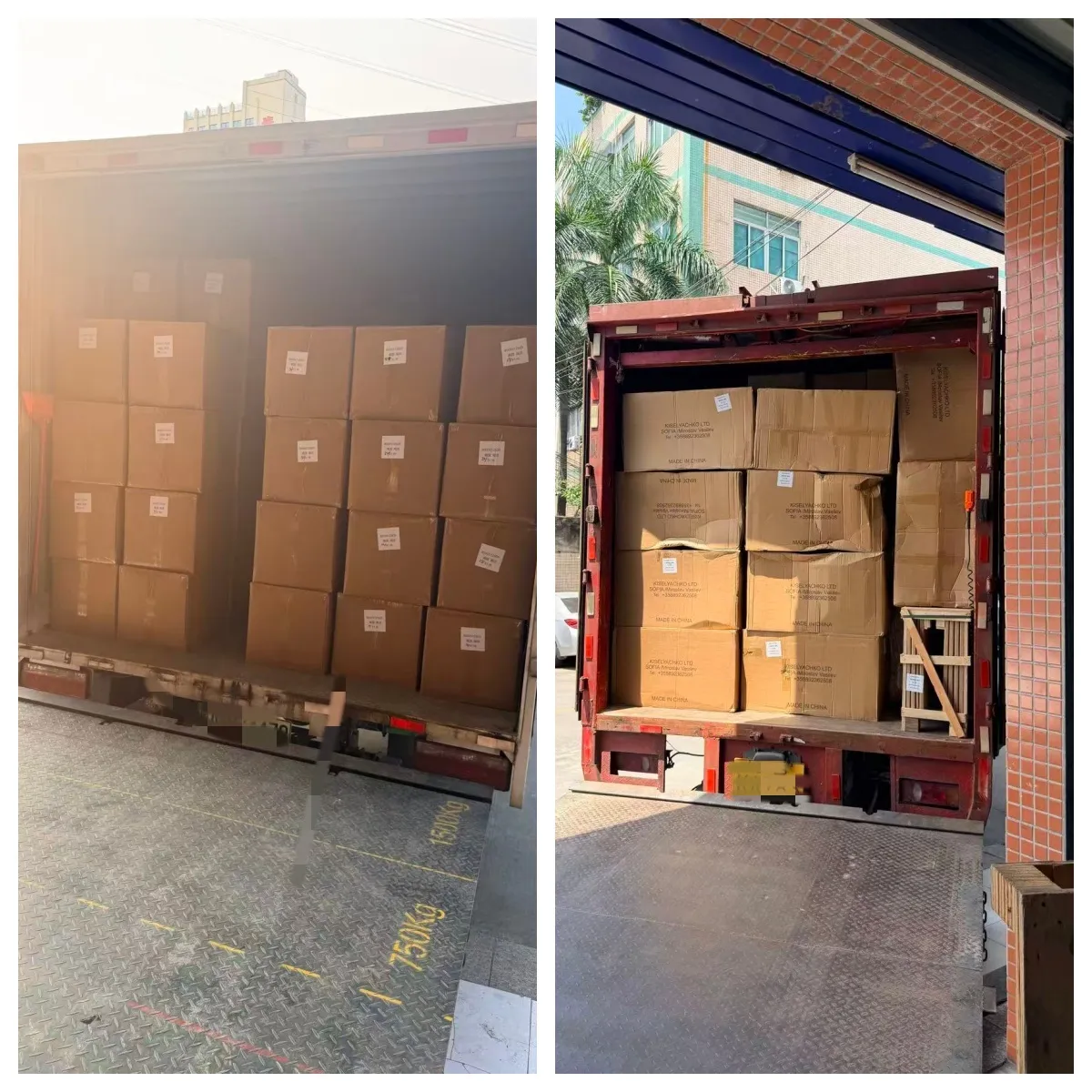 147 Pieces, 40+ CBM, 50 Days Door-to-Door: Zeyuan Logistics Completes Sea DDP Delivery to Bulgaria for a Sofia Furniture Importer