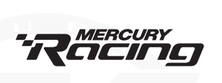 Mercury 175hp manufacture