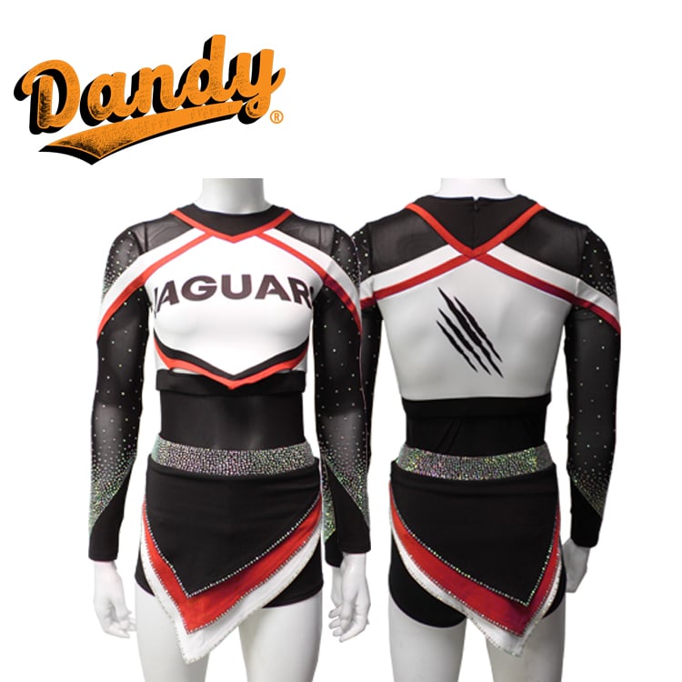 Cheerleading Uniform Performance Set – Girls Long Sleeve Top & Skirt, Spandex/Lycra/Mystique, Kids to Adults