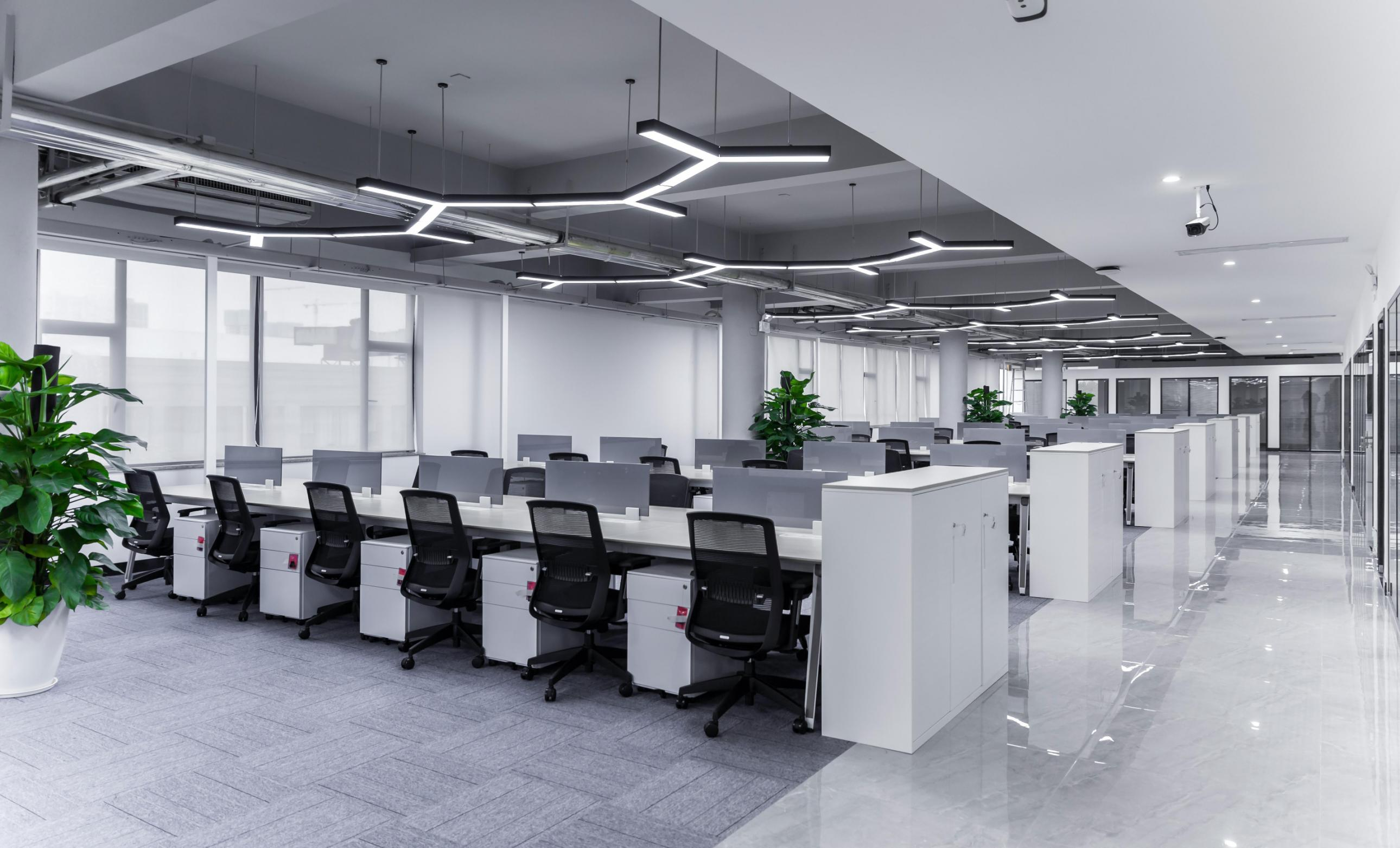 Linear Logic: How Cleader Architected a High-Output Engine for Talkweb’s Established Tech Hub