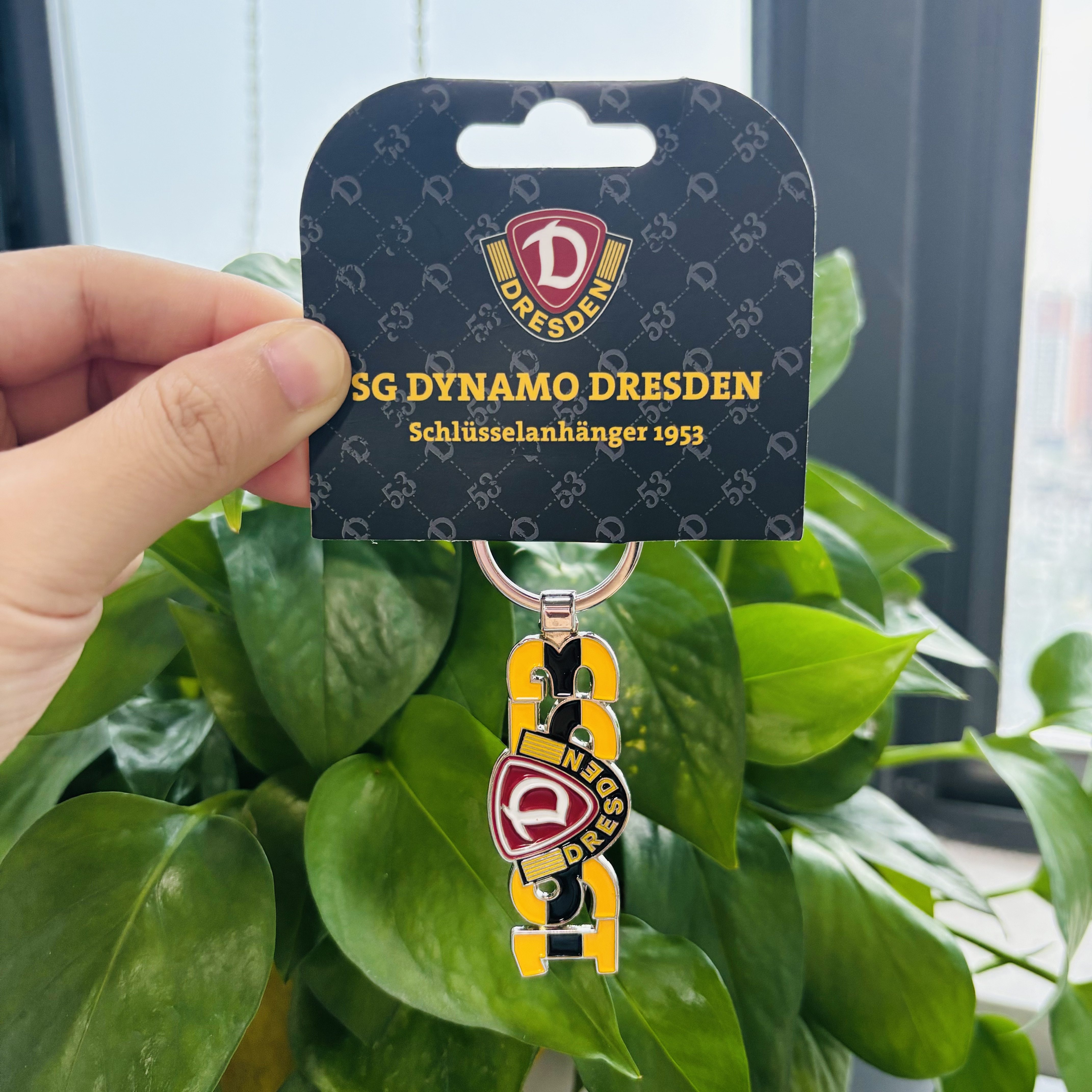 Metal Custom Logo Die Casting 3D Key Chain