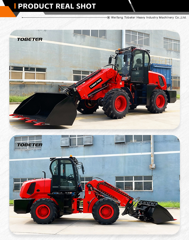 Telescopic Loader