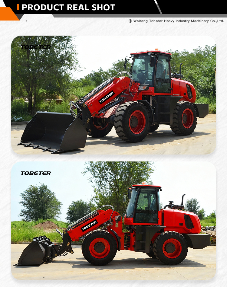 Telescopic Loader