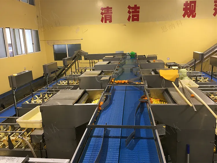 Conas a bhíonn scagadh oráiste cruinn agus éifeachtach á bhaint amach ag scagaire oráiste uathoibríoch Tianjin ENAK?