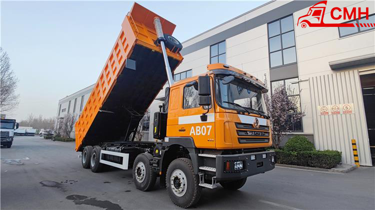 Shacman F3000 12 Wheeler Dump Truck  on sale