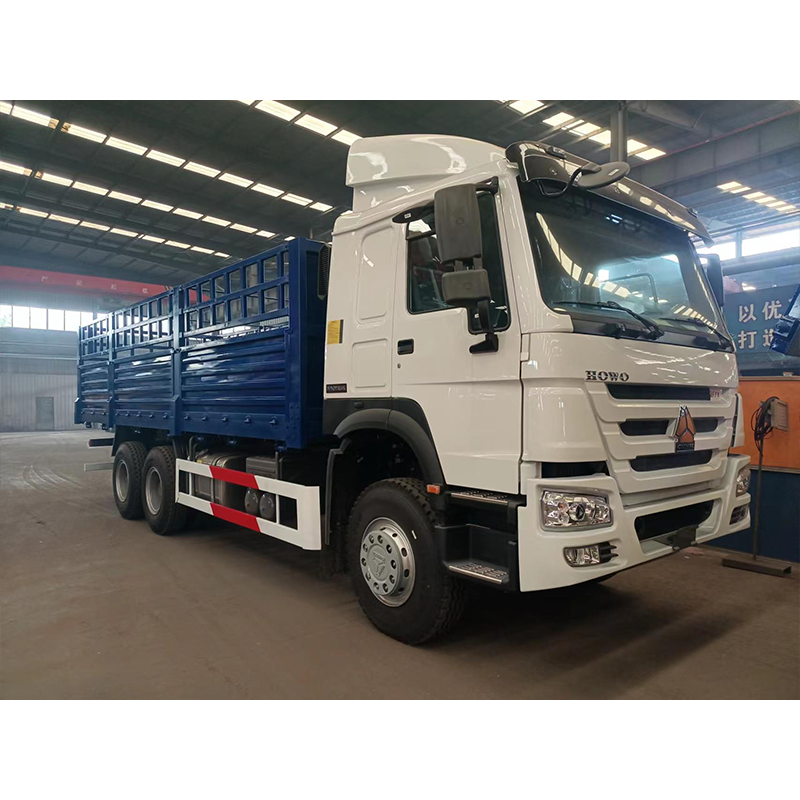 HOWO cargo truck 6x4 with cage cargo box