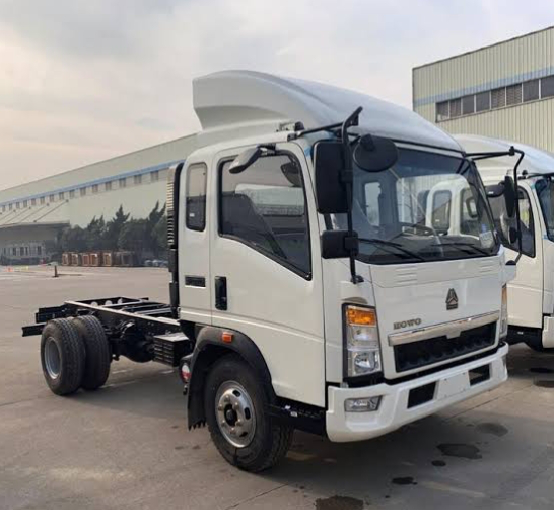 Sinotruk Howo 4X2 Light Cargo