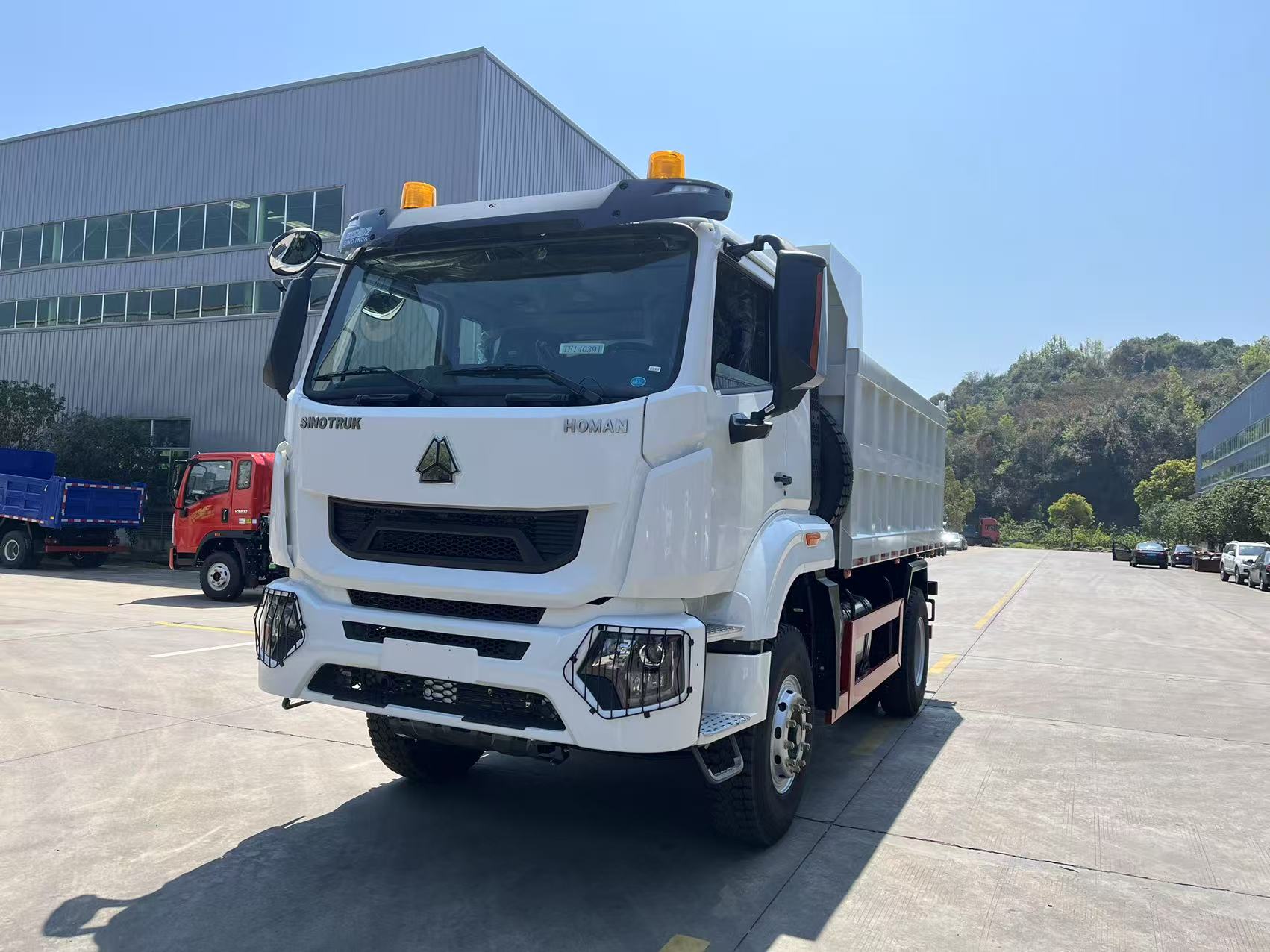  HOMAN 4x2 Dump Truck