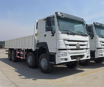 Sino Truck Howo Cargo Truck 8x4