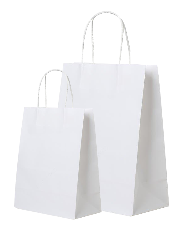 Paper Bag-7.png