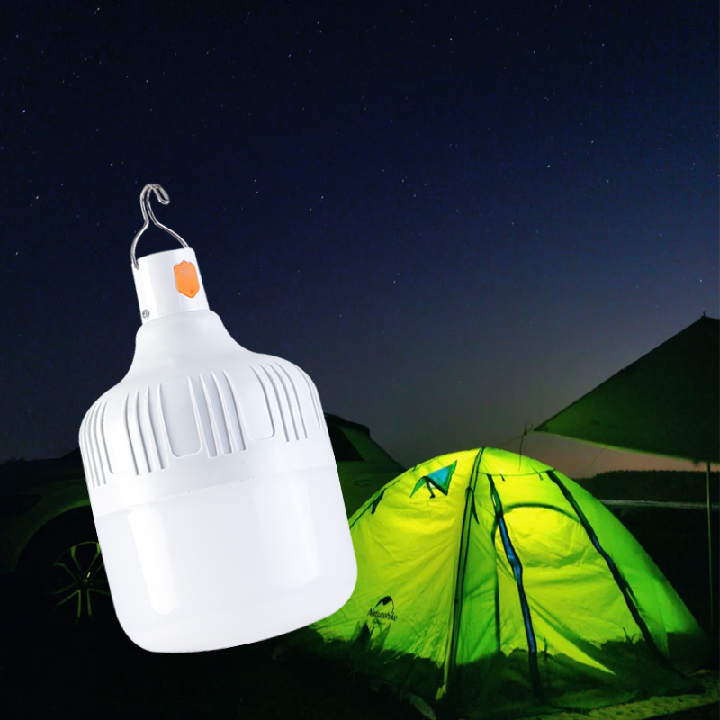 Long Life Light Bulbs Are a Smart Investment