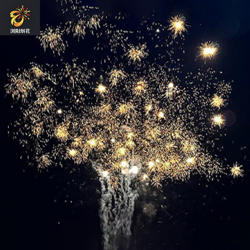 Hunan Fireworks Manufacturing, Chinese Fireworks Factory, Professional Fireworks Professional Fireworks Cake Pyrotechnics 1.3g and1.4g Outdoor Fireworks! Fireworks New Fireworks in Amazing Effect Shots Consumer (Golden Money Tree)