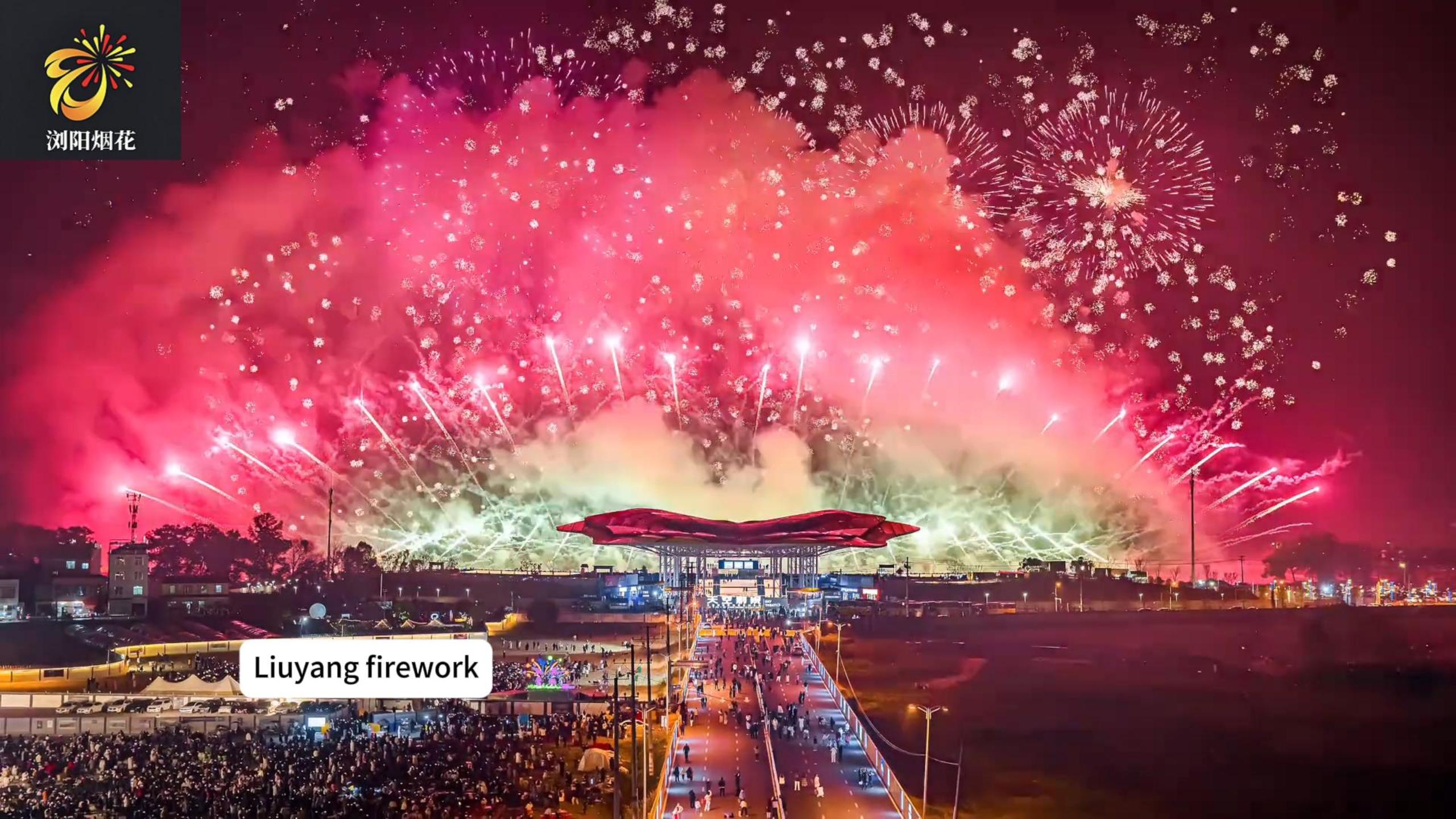 2025 Liuyang New Year's Eve Fireworks Spectacular Dazzlingly Unveiled Our Company's Fireworks Illuminate the New Year's Night Sky