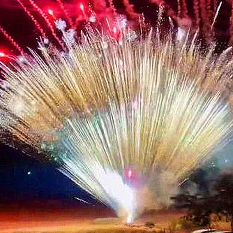 Chinese Hunan Factory Wholesales Fireworks Pyrotechnics! Fireworks New Fireworks in Amazing Effect Shots Consumer (Golden Fireworks)