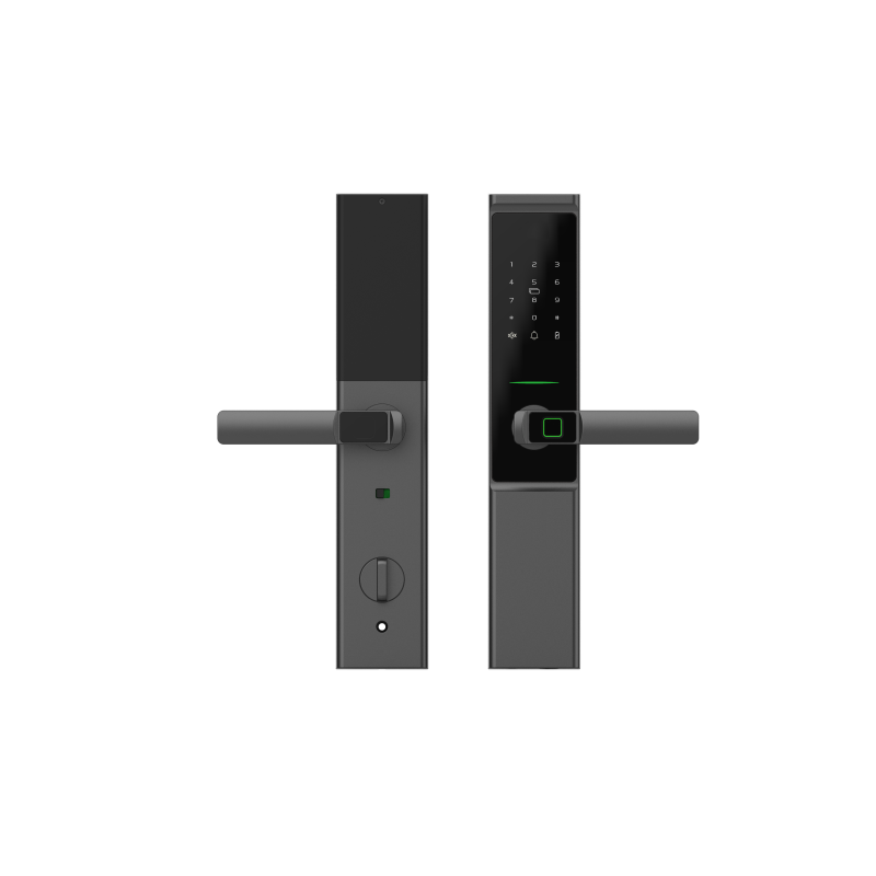 A08 Serratura intelligente semiautomatica impermeabile IP66 per porta d'ingresso