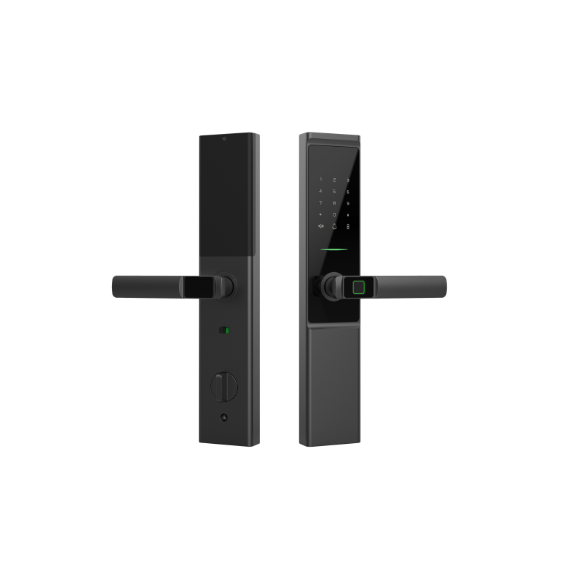 A08 Serratura intelligente semiautomatica impermeabile IP66 per porta d'ingresso