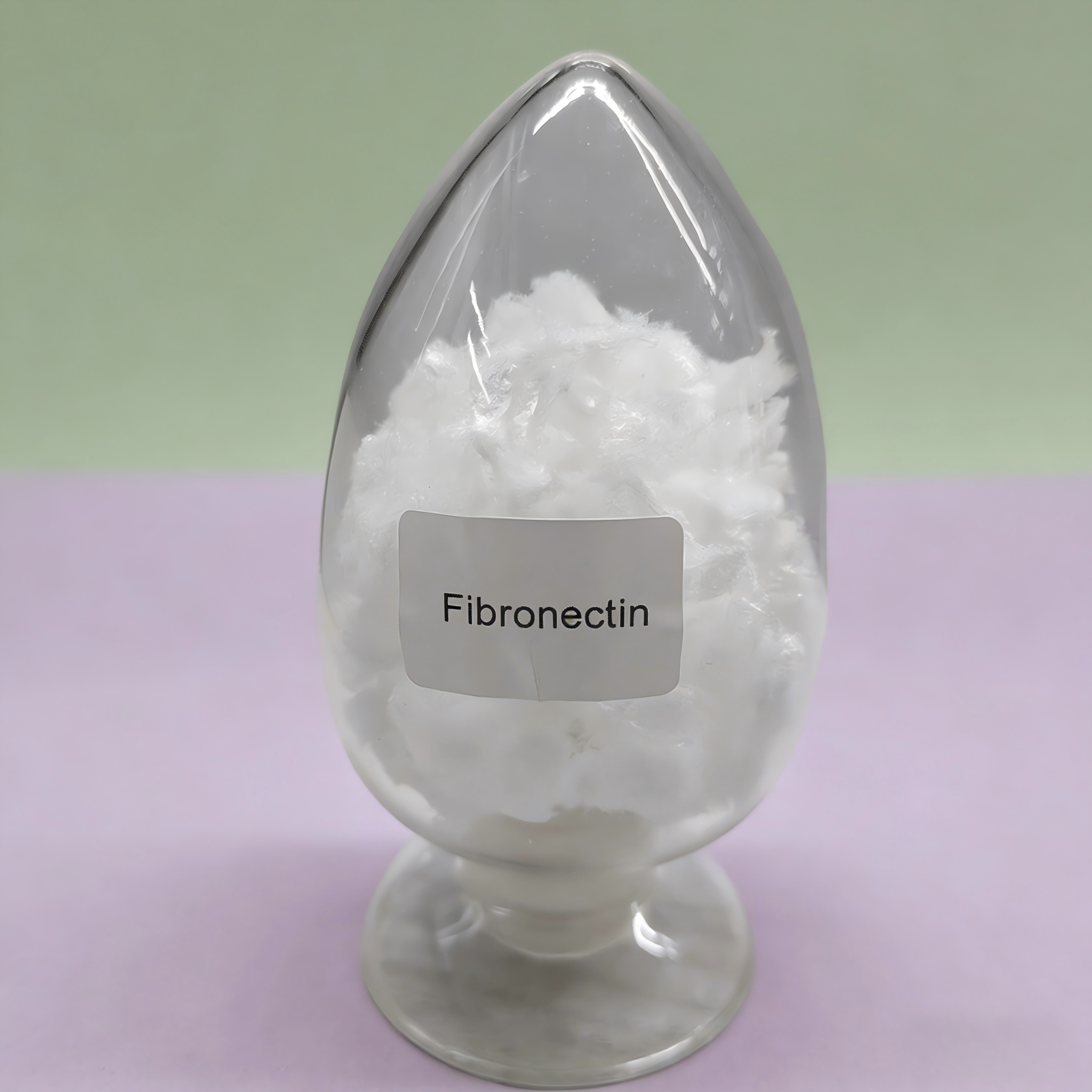 Fibronectin