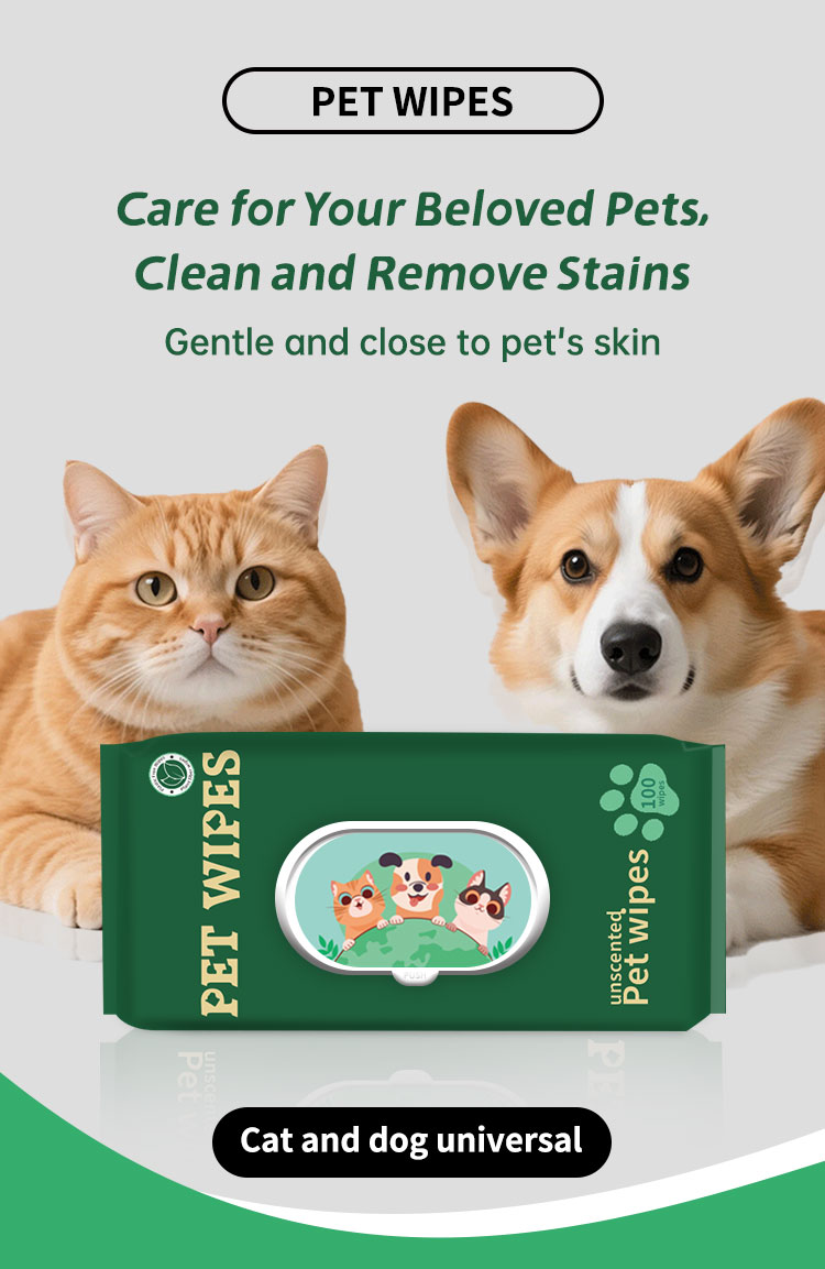 Pet cleaning wipes manufacture