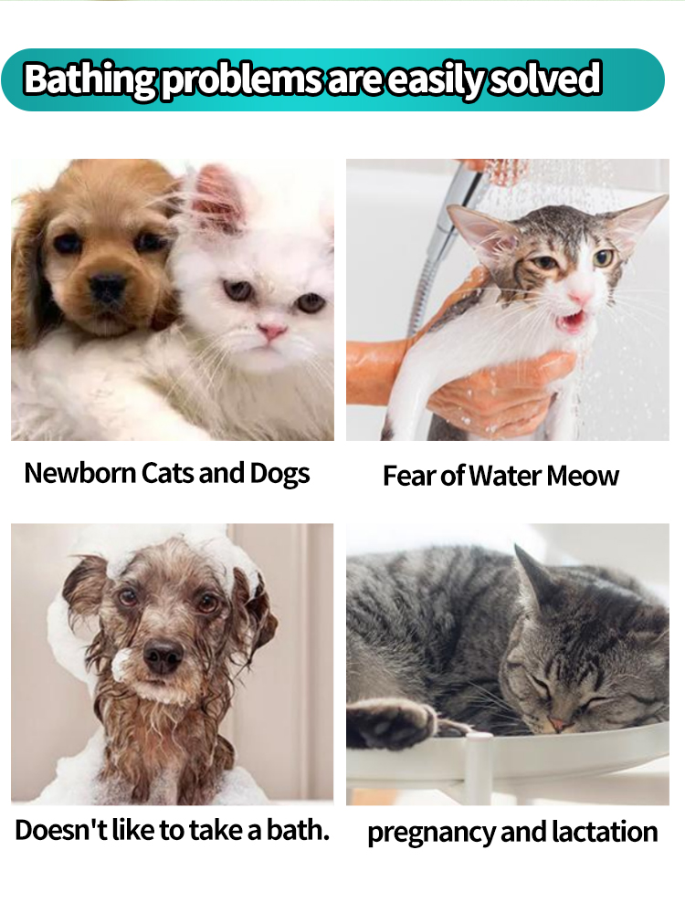 Pet Bathing Wipes supplier