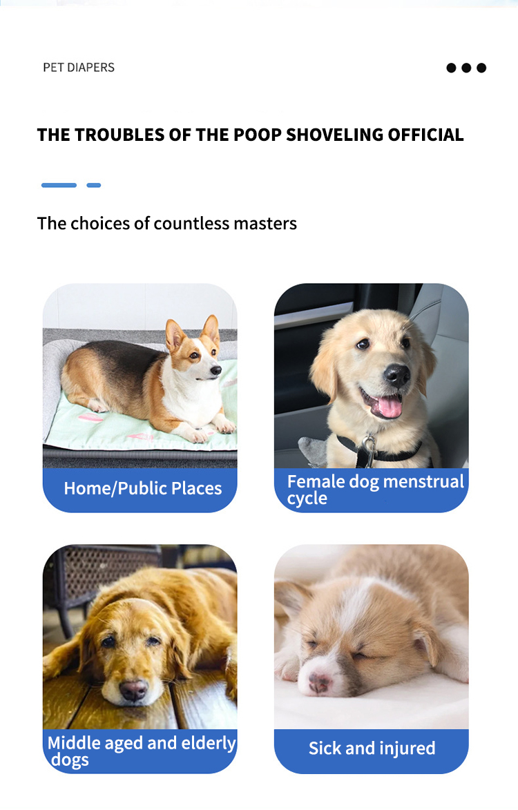 Male Dog Diaper supplier