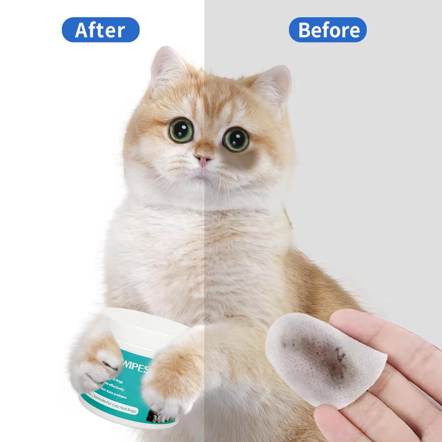 Pet Eye Wipes manufacture