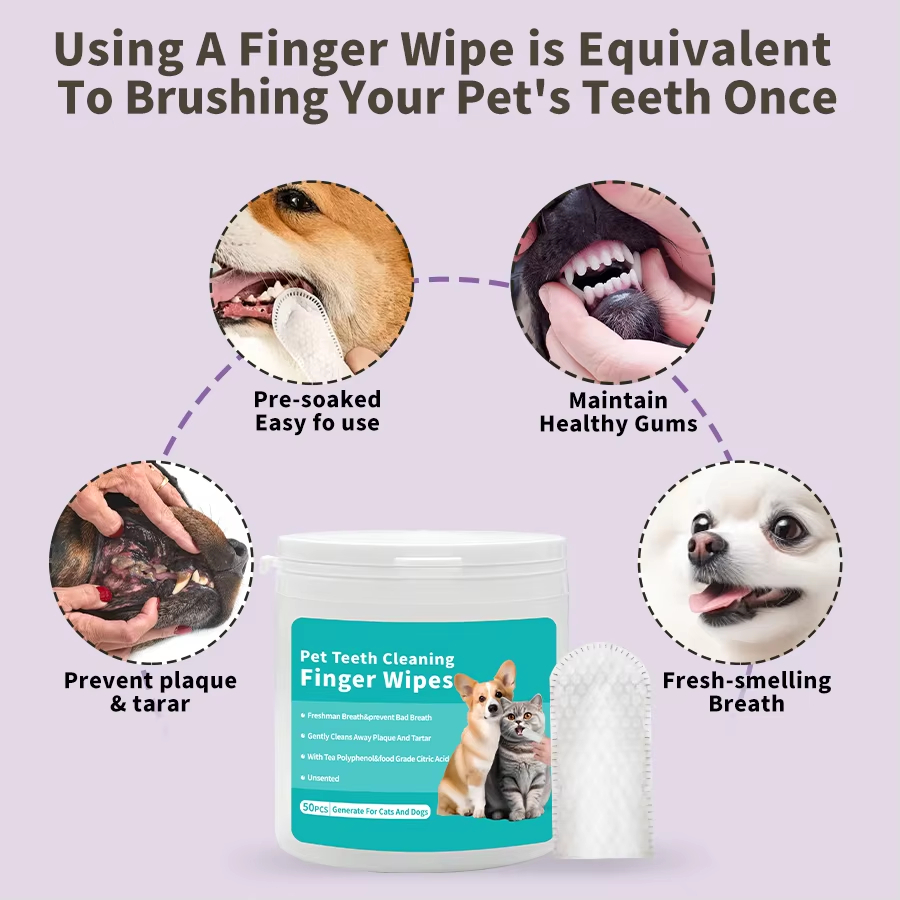 Pet Eye Wipes factory