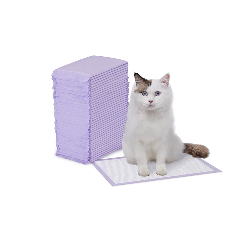 Eco-Friendly and Safe Materials
