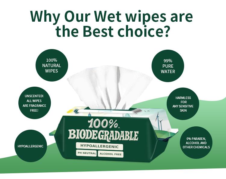 cleaning wipes supplier