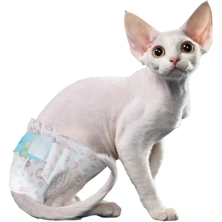 Rapid Feline Moisture Absorption Core