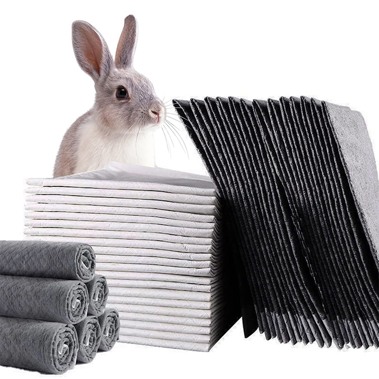 Advanced Pet Potty Pads for Seamless Indoor Housebreaking