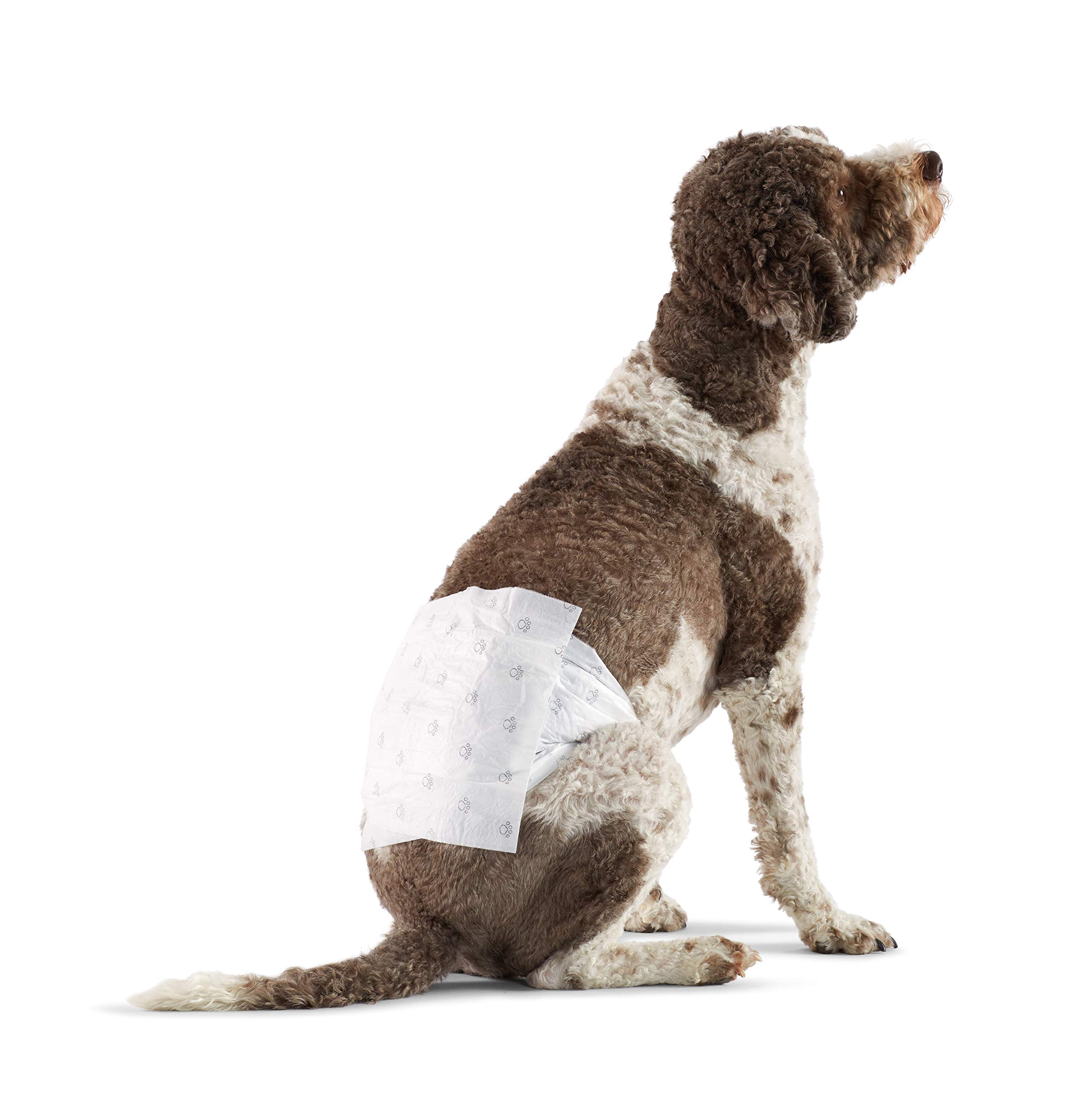 360-Degree Leak-Proof Comfort Fit