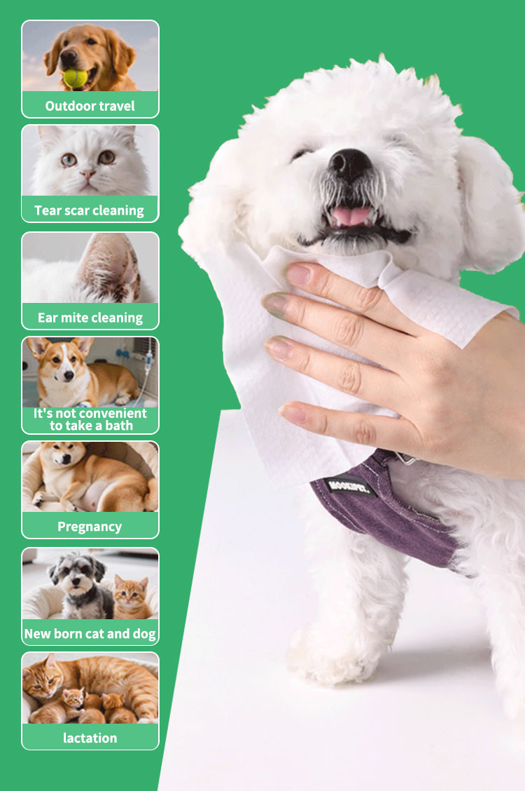 Pet Ear Cleaning Wipes manufacture