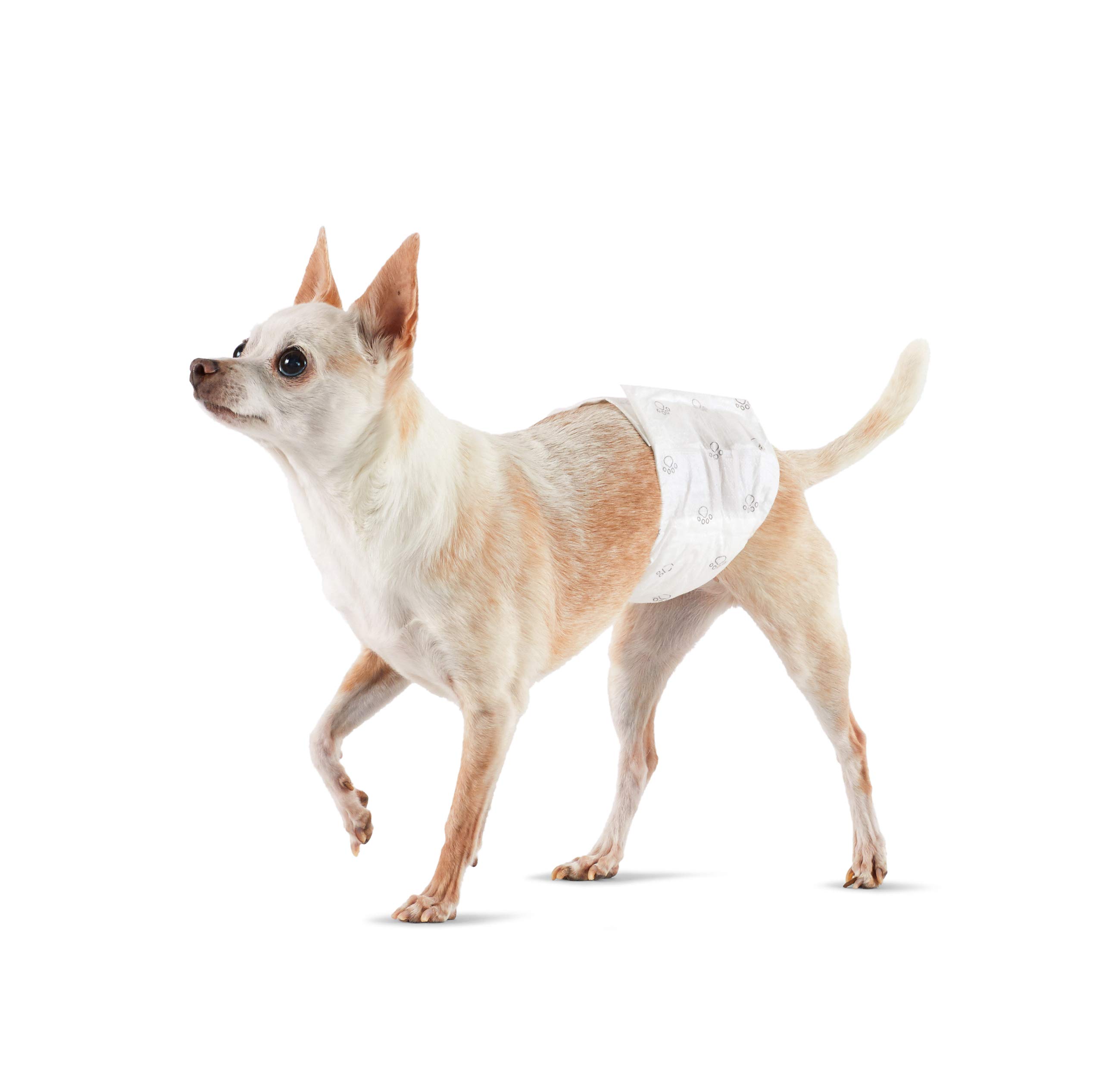 Ultimate Leak Protection and Daily Comfort for Pets