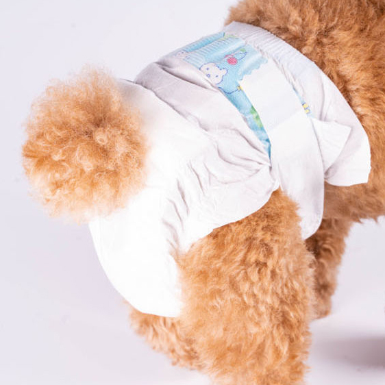 Accelerate Housebreaking With Maximum Hygiene Protection