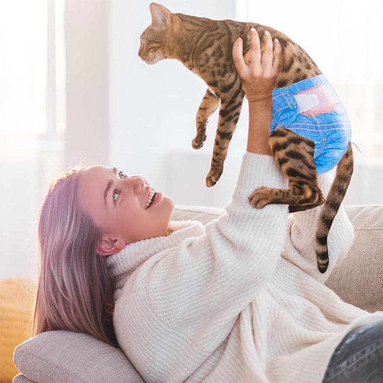 Ultralight Flexible Feline Chassis