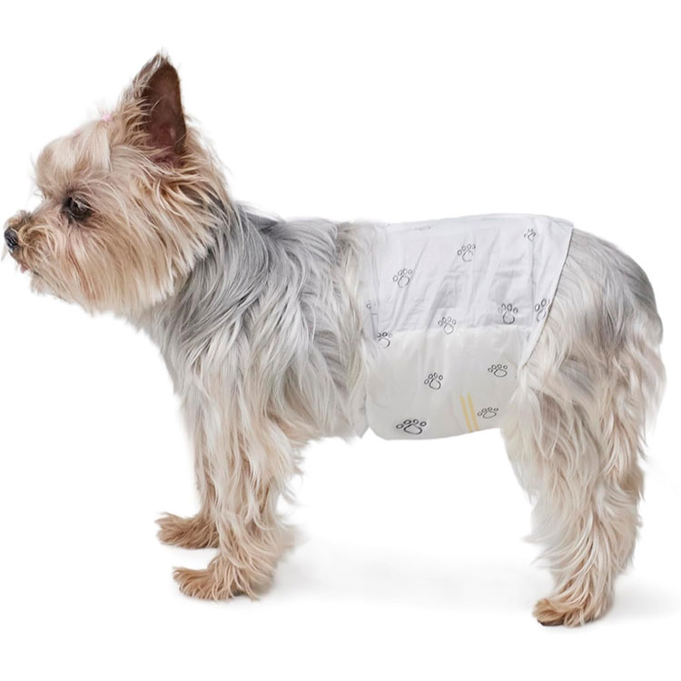 Smart Sensor Technology and Superior Canine Protection