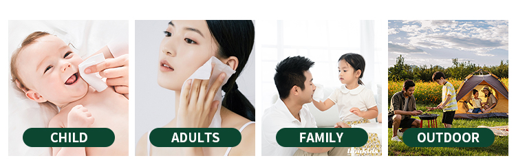 cleaning wipes supplier