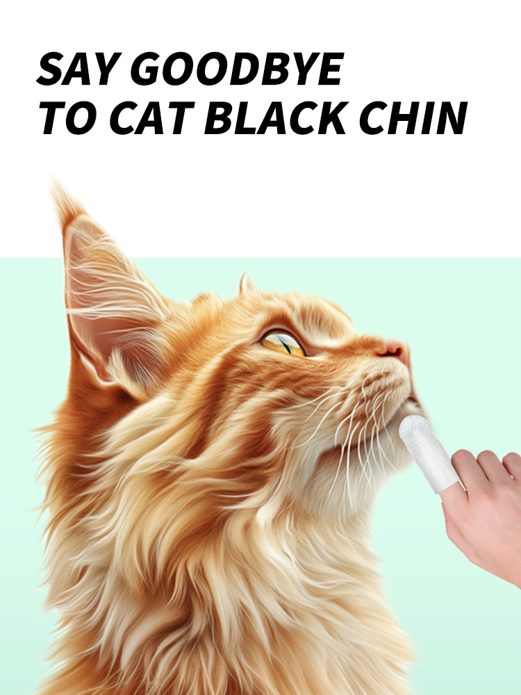 Pet Dental Finger Wipes supplier