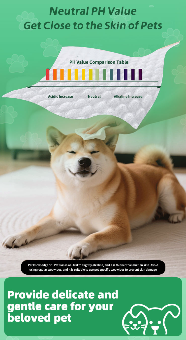 Pet cleaning wipes manufacture