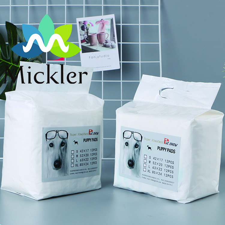 Accelerate Housebreaking With Advanced Moisture Control