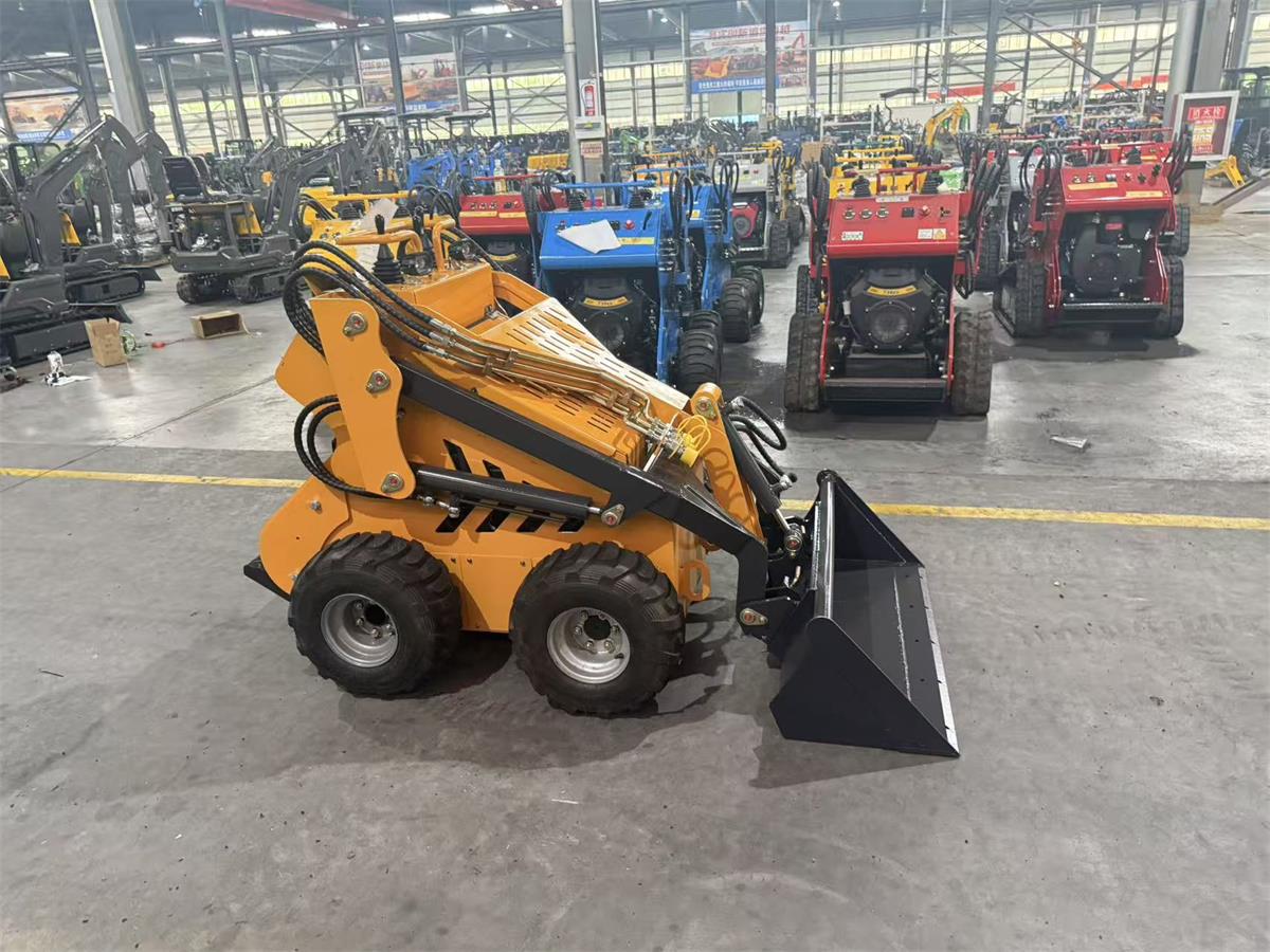 skid steer loader-2.jpg