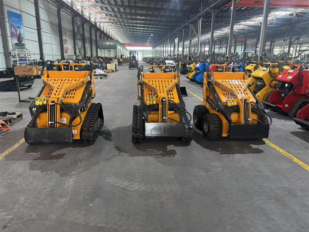 skid steer loader-3.jpg