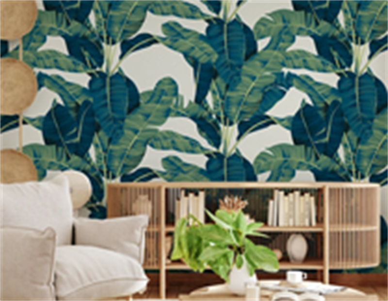 图片24.png