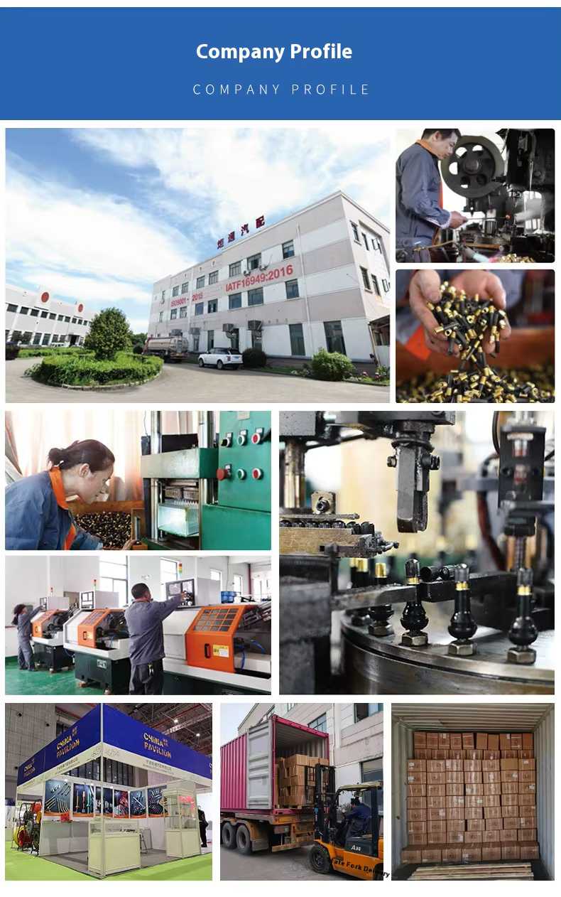 EW CNC Bicycle French Nozzle Air Valve Cap Aluminum Alloy Chrome Finish Colorful Lug Nuts Accessories Model 145 details