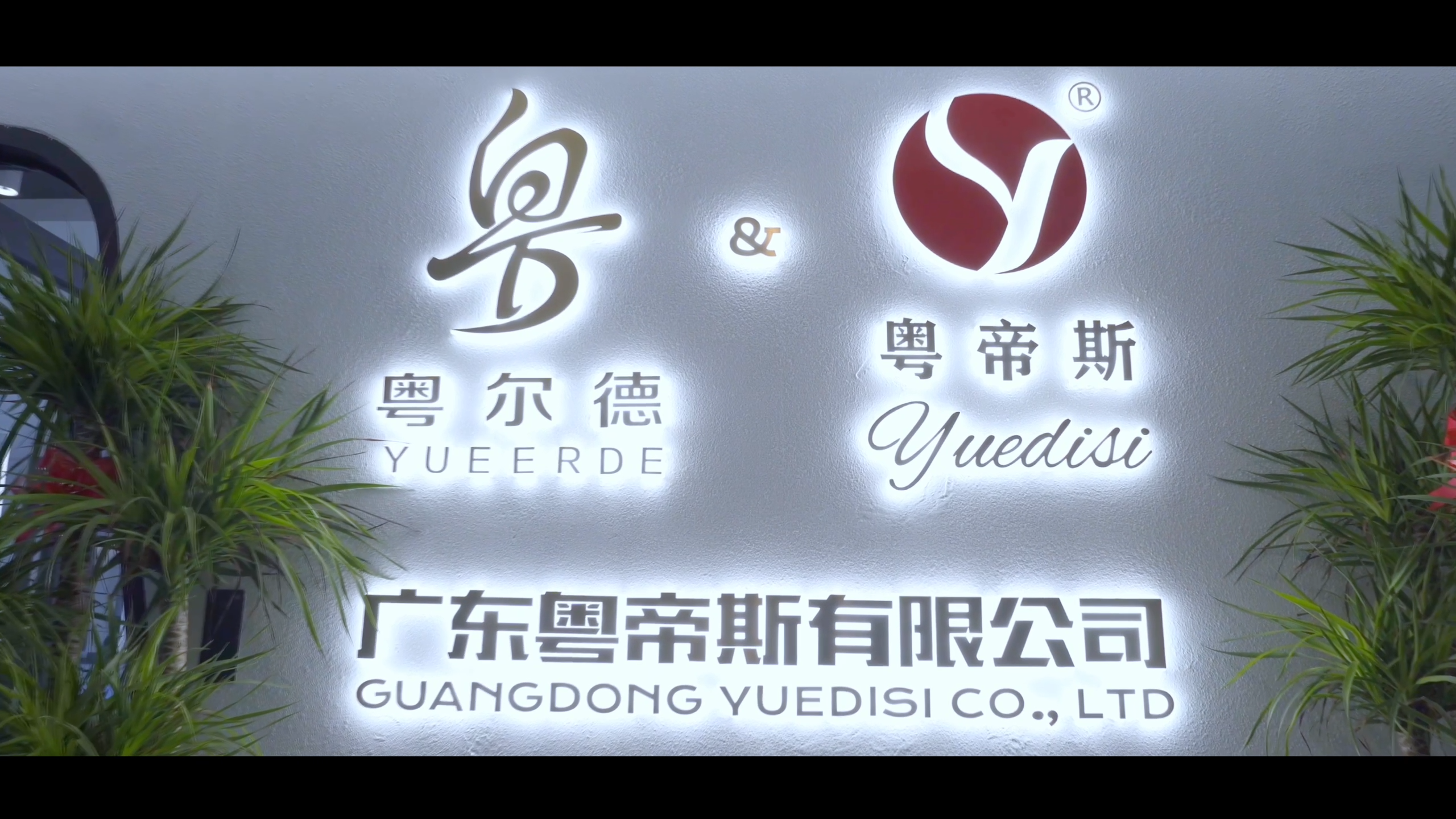 Our Company