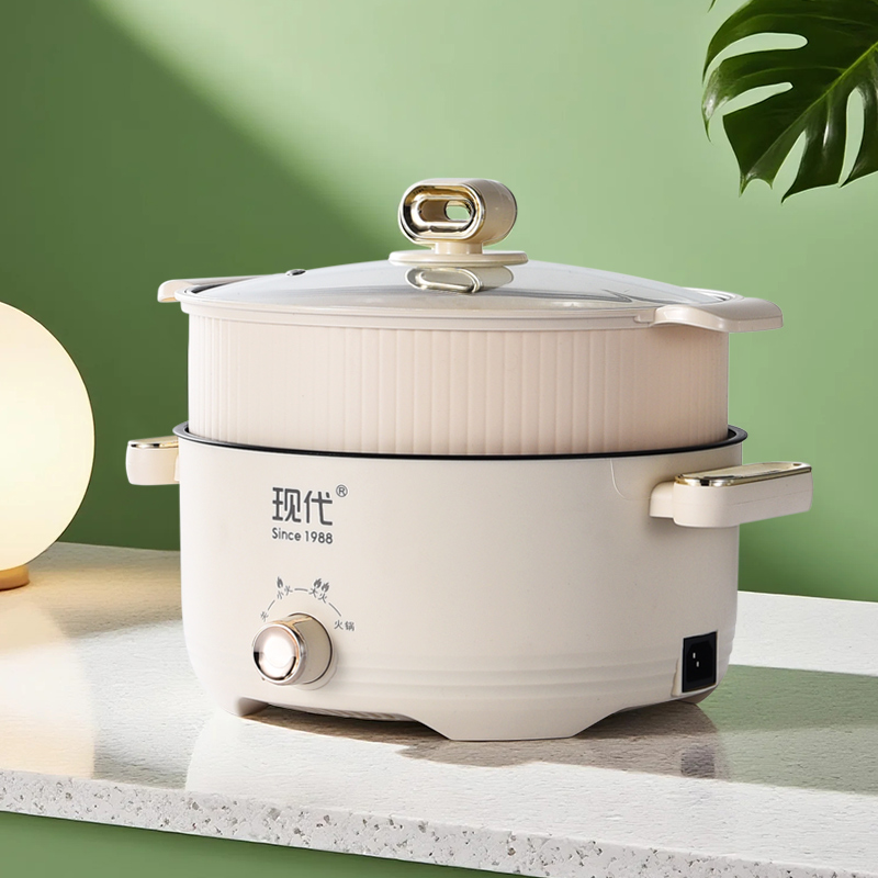 Electric cooking pot with PP steamer