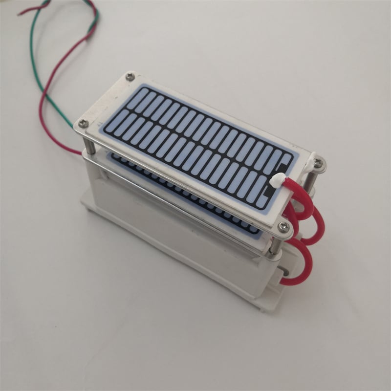 AC110V AC220V 10g/h Long Life Ceramic Plate Ozone module for air Purifying 